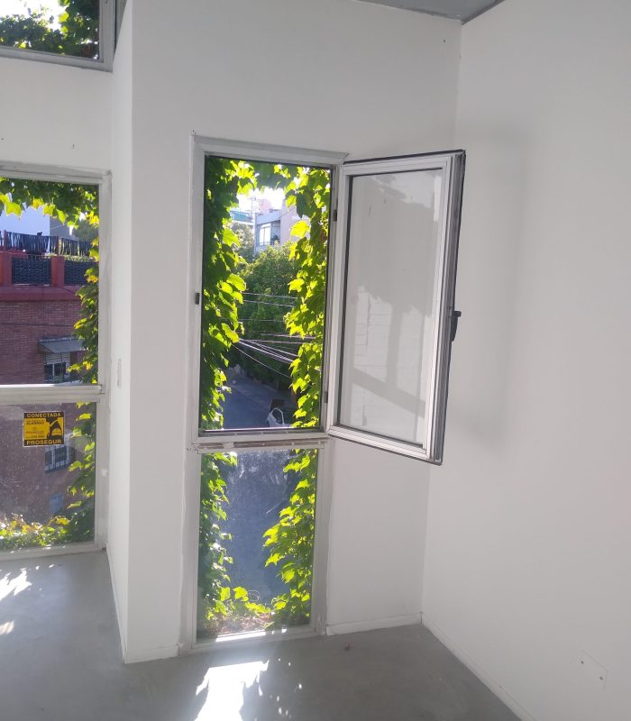 IMG_20250214_081212378