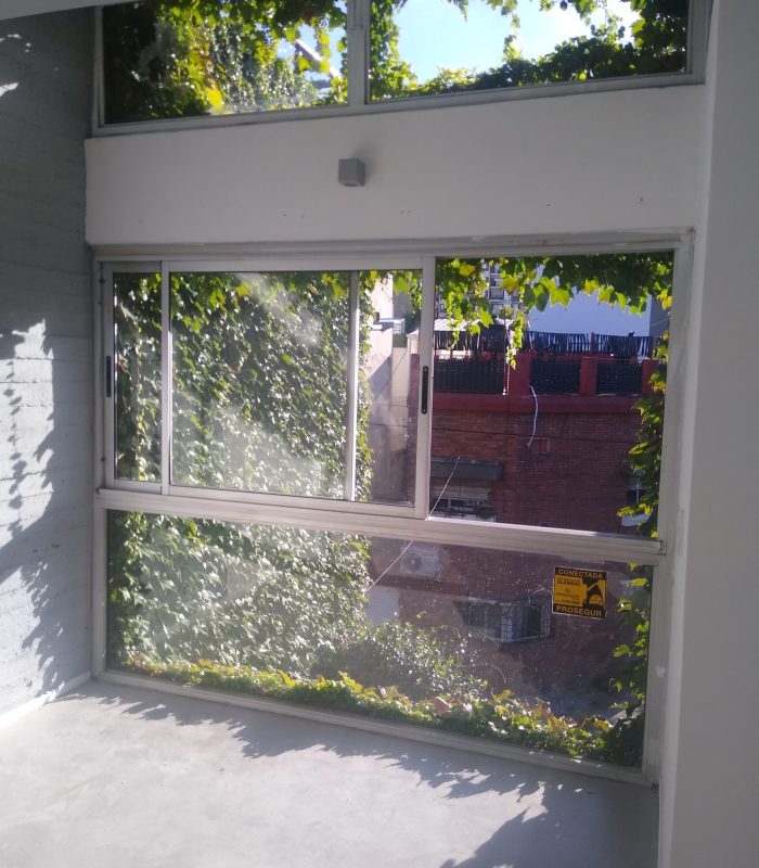 IMG_20250214_081218078