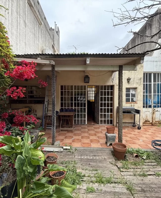 photo_1761642462446551133_27650316_large